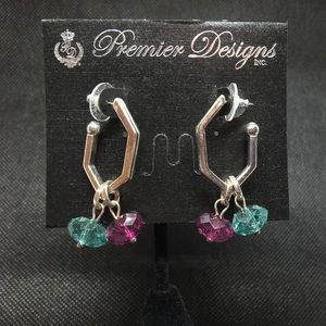 ✨True Colors Premier Designs Earrings✨